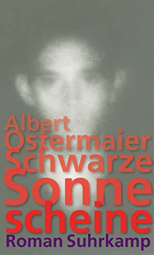 9783518422205: Schwarze Sonne scheine: Roman