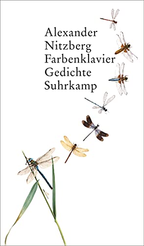 9783518422779: Farbenklavier