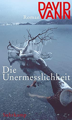 Stock image for Die Unermesslichkeit for sale by Anybook.com