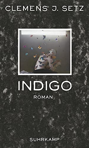 Stock image for Indigo: Roman for sale by medimops