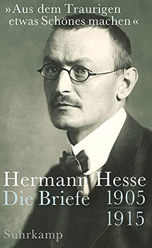 9783518424087: Hesse, H: "Aus dem Traurigen etwas Schnes machen"