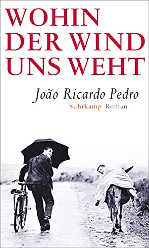 Beispielbild fr Wohin der Wind uns weht: Roman zum Verkauf von medimops