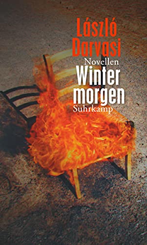 9783518425527: Wintermorgen: Novellen