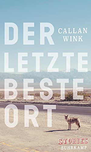 9783518425596: Der letzte beste Ort: Stories