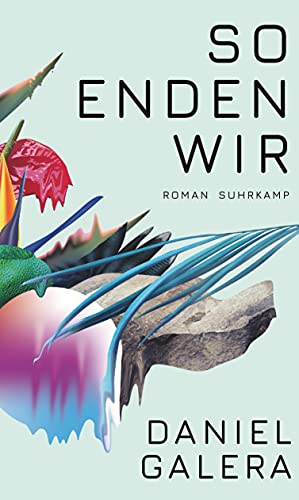 Stock image for So enden wir: Roman for sale by medimops