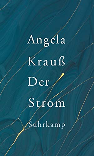 9783518428672: Der Strom