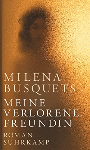 Stock image for Meine verlorene Freundin: Roman for sale by medimops