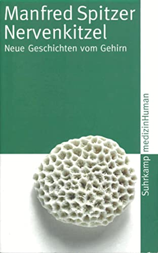 Stock image for Nervenkitzel: Neue Geschichten vom Gehirn (suhrkamp taschenbuch) for sale by medimops
