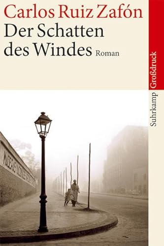 9783518459027: Der Schatten des Windes