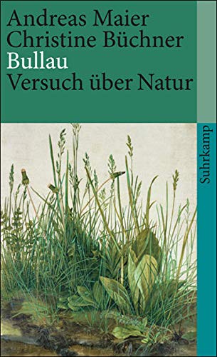 Beispielbild für Bullau. Versuch über Natur. Suhrkamp Taschenbuch 3947. zum Verkauf von Antiquariat Renate Wolf-Kurz M.A.