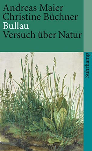 Stock image for Bullau. Versuch ber Natur. Suhrkamp Taschenbuch 3947. for sale by Antiquariat Renate Wolf-Kurz M.A.