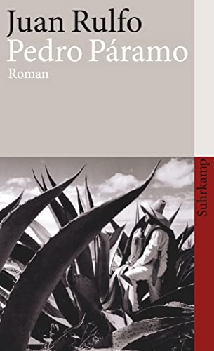 Stock image for Pedro Pramo: Roman for sale by Revaluation Books