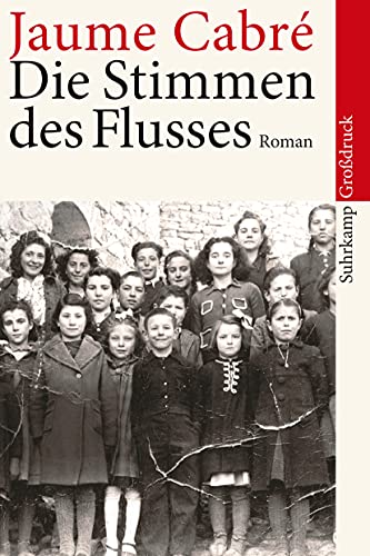 Beispielbild fr Die Stimmen des Flusses: Roman (suhrkamp taschenbuch) zum Verkauf von medimops