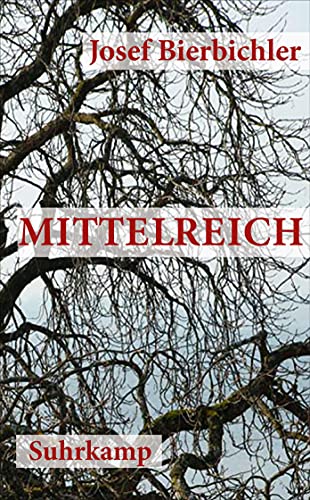 Beispielbild für Mittelreich: Roman (suhrkamp taschenbuch) zum Verkauf von medimops