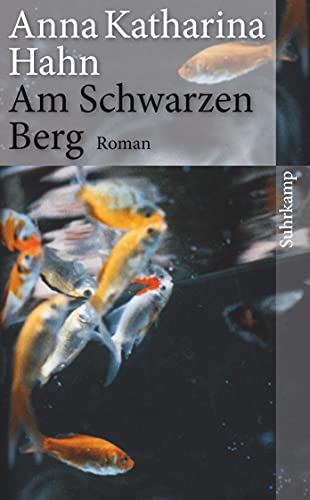 Imagen de archivo de Am Schwarzen Berg: Roman (suhrkamp taschenbuch) a la venta por medimops