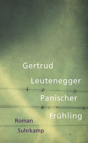 9783518466414: Panischer Fruhling (German Edition)