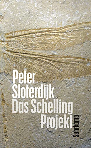 Beispielbild fr Das Schelling-Projekt. Bericht, zum Verkauf von modernes antiquariat f. wiss. literatur