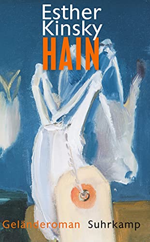 Stock image for Hain: Geländeroman for sale by WorldofBooks