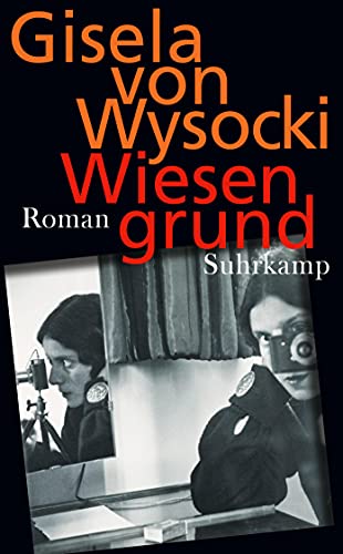 Stock image for Wiesengrund: Roman (suhrkamp taschenbuch) for sale by medimops