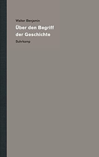 Imagen de archivo de ber Den Begriff Der Geschichte: Bd.19 a la venta por Revaluation Books