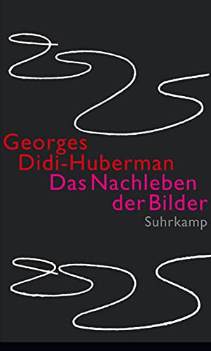 Stock image for Das Nachleben der Bilder: Kunstgeschichte und Phantomzeit nach Aby Warburg for sale by medimops