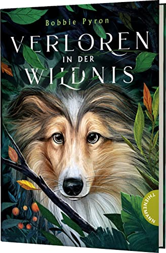 Stock image for Verloren in der Wildnis: Freundschaftsgeschichte zwischen einem Mdchen und einem Hund, ab 10 for sale by medimops