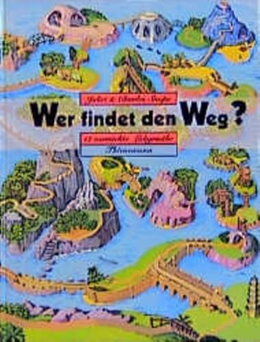 Stock image for Wer findet den Weg?: 12 verrckte Labyrinthe for sale by medimops