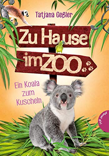 Imagen de archivo de Zu Hause im Zoo, Band 4: Ein Koala zum Kuscheln a la venta por medimops