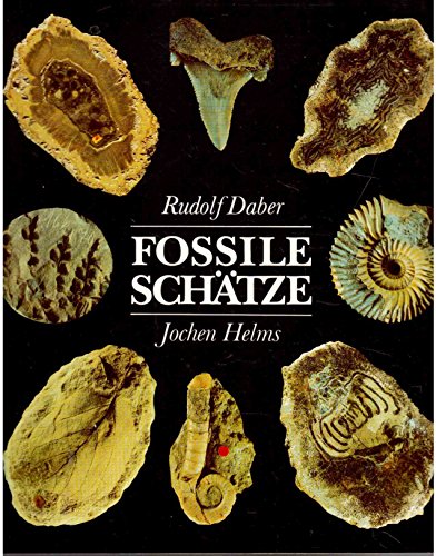 Fossile Schätze Aus Museen und Sammlungen.