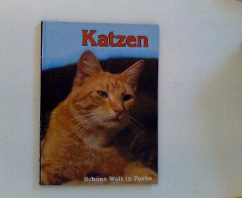 Stock image for Katzen for sale by Versandantiquariat Felix Mcke