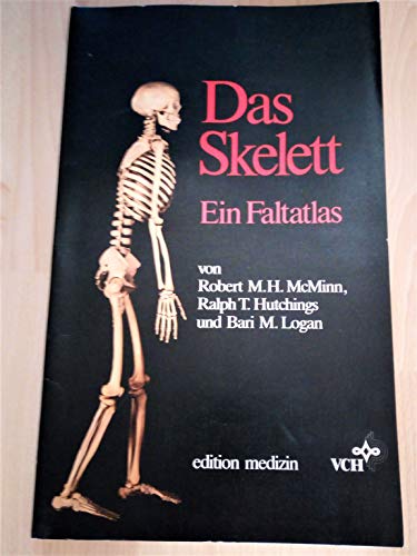 Stock image for Das Skelett. Ein Faltatlas for sale by medimops