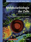 Beispielbild fr Molekularbiologie der Zelle zum Verkauf von medimops