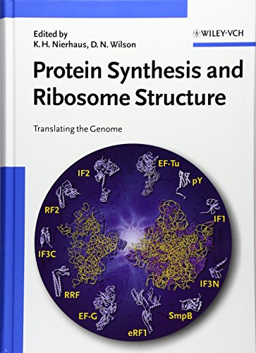 9783527306381: Protein Synthesis and Ribosome Structure: Translating the Genome