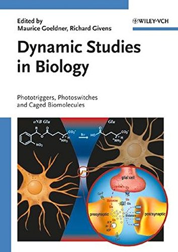 9783527307838: Dynamic Studies in Biology: Phototriggers, Photoswitches and Caged Biomolecules