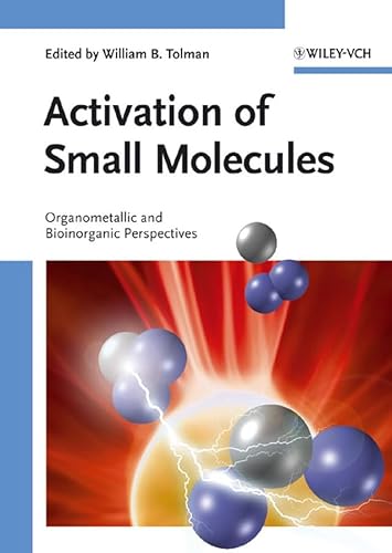 9783527313129: Activation of Small Molecules: Organometallic And Bioinorganic Perspectives