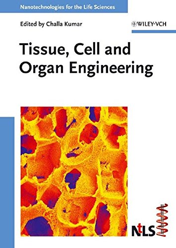 Stock image for Tissue Cell and Organ Engineering for sale by Webbooks, Wigtown