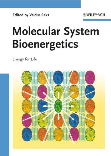 Stock image for Molecular System Bioenergetics: Energy for Life for sale by Phatpocket Limited
