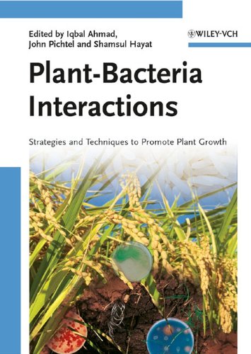 Beispielbild fr Plant-Bacteria Interactions: Strategies and Techniques to Promote Plant Growth zum Verkauf von Cambridge Rare Books