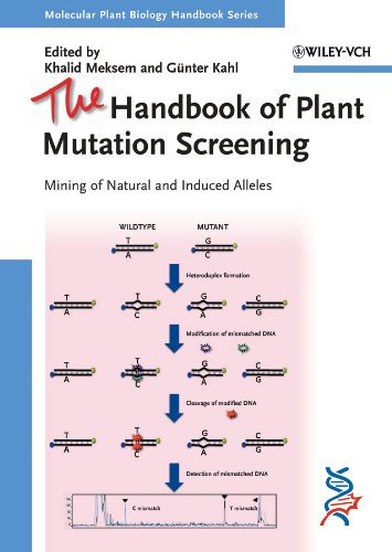 Stock image for The Handbook of Plant Mutation Screening: Mining of Natural and Induced Alleles (Molecular Plant Biology) for sale by HPB-Red