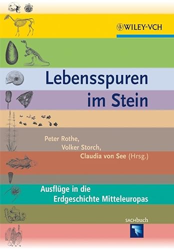 9783527327669: Lebensspuren im Stein: Ausfluge in die Erdgeschichte Mitteleuropas