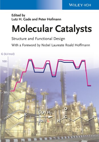 Stock image for Molecular Catalysts: Structure and Functional Design Format: Hardcover for sale by INDOO