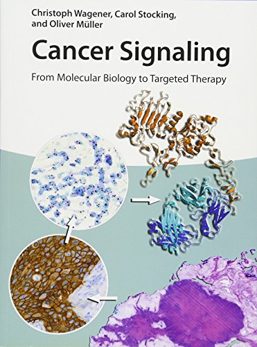 9783527336586: Cancer Signaling: From Molecular Biology to Targeted Therapy