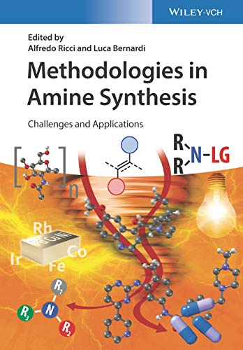 Beispielbild fr Methodologies in Amine Synthesis zum Verkauf von Blackwell's