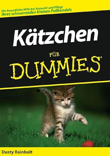 Stock image for Ktzchen fr Dummies for sale by medimops