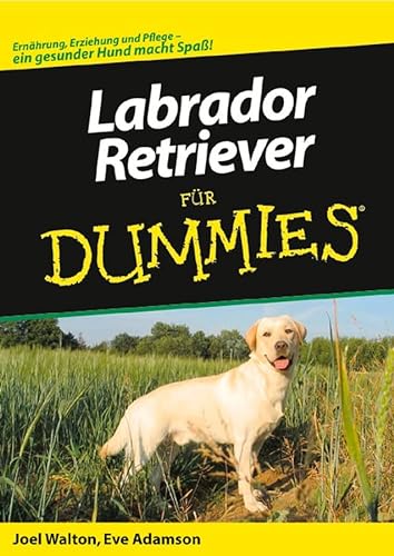 Beispielbild fr Labrador Retriever fr Dummies zum Verkauf von medimops