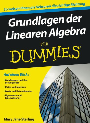Beispielbild fr Grundlagen der Linearen Algebra fr Dummies zum Verkauf von medimops