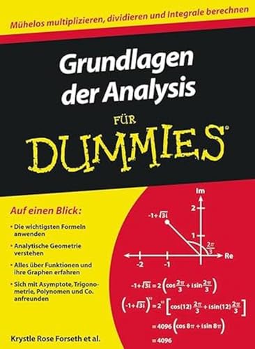 Imagen de archivo de Grundlagen Der Analysis Fr Dummies a la venta por Blackwell's