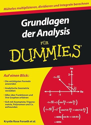 Stock image for Grundlagen Der Analysis Fr Dummies for sale by Blackwell's