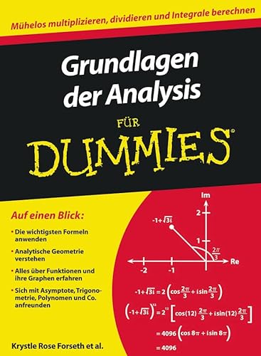9783527706419: Grundlagen der Analysis fr Dummies