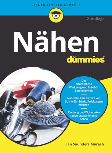 Stock image for Nhen fr Dummies for sale by Revaluation Books